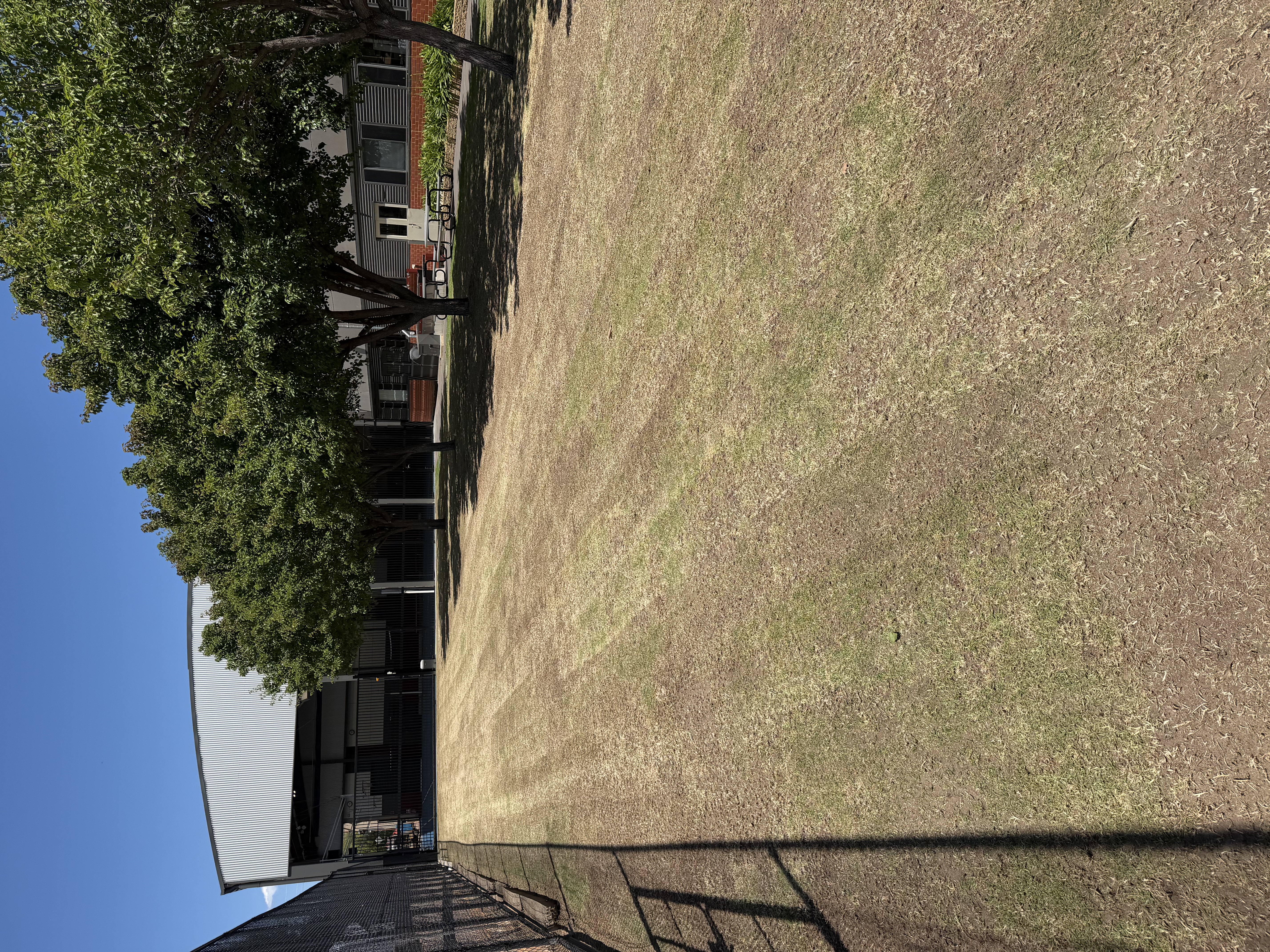 Tanner's Turf Project