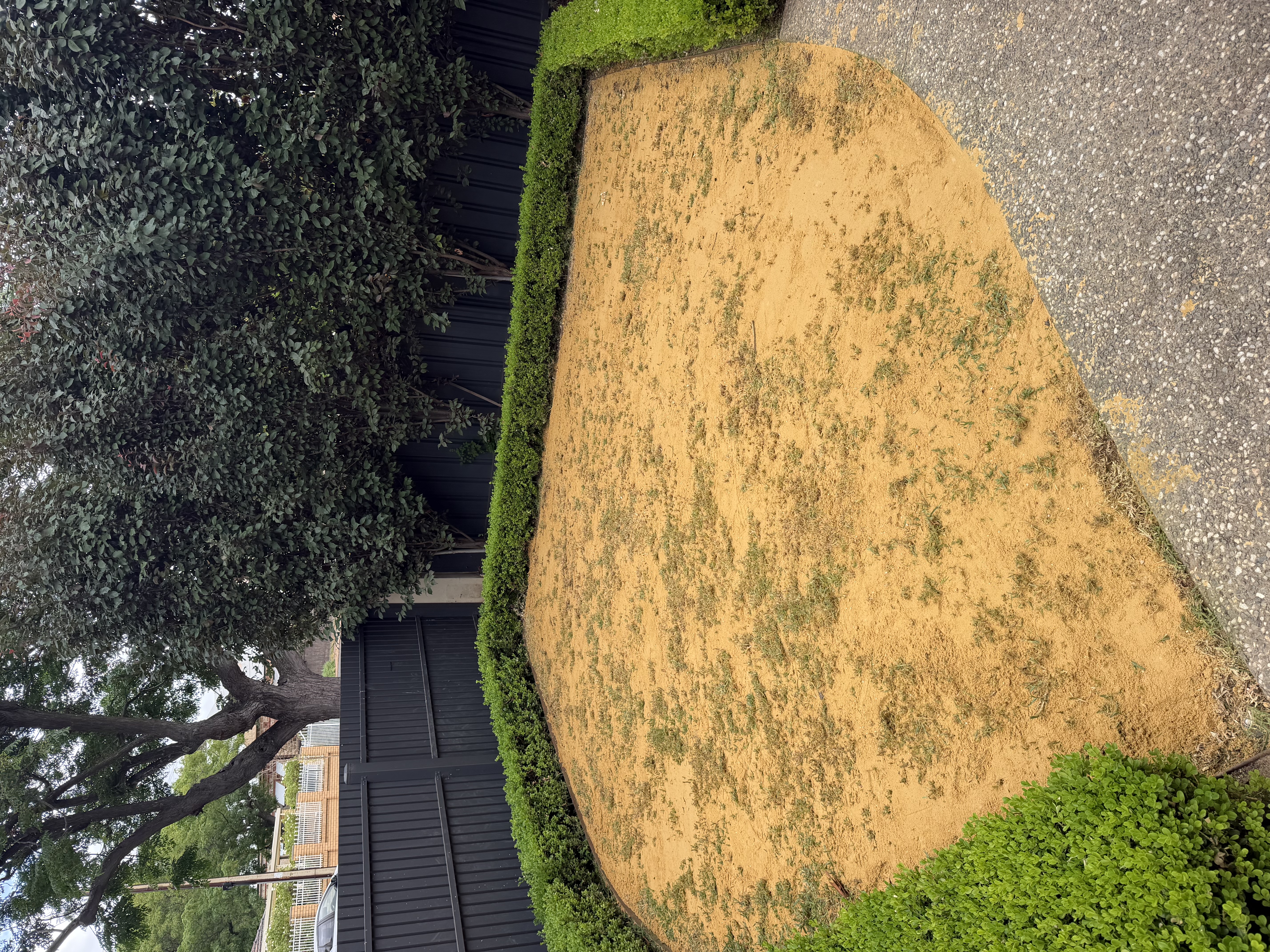 Tanner's Turf Project