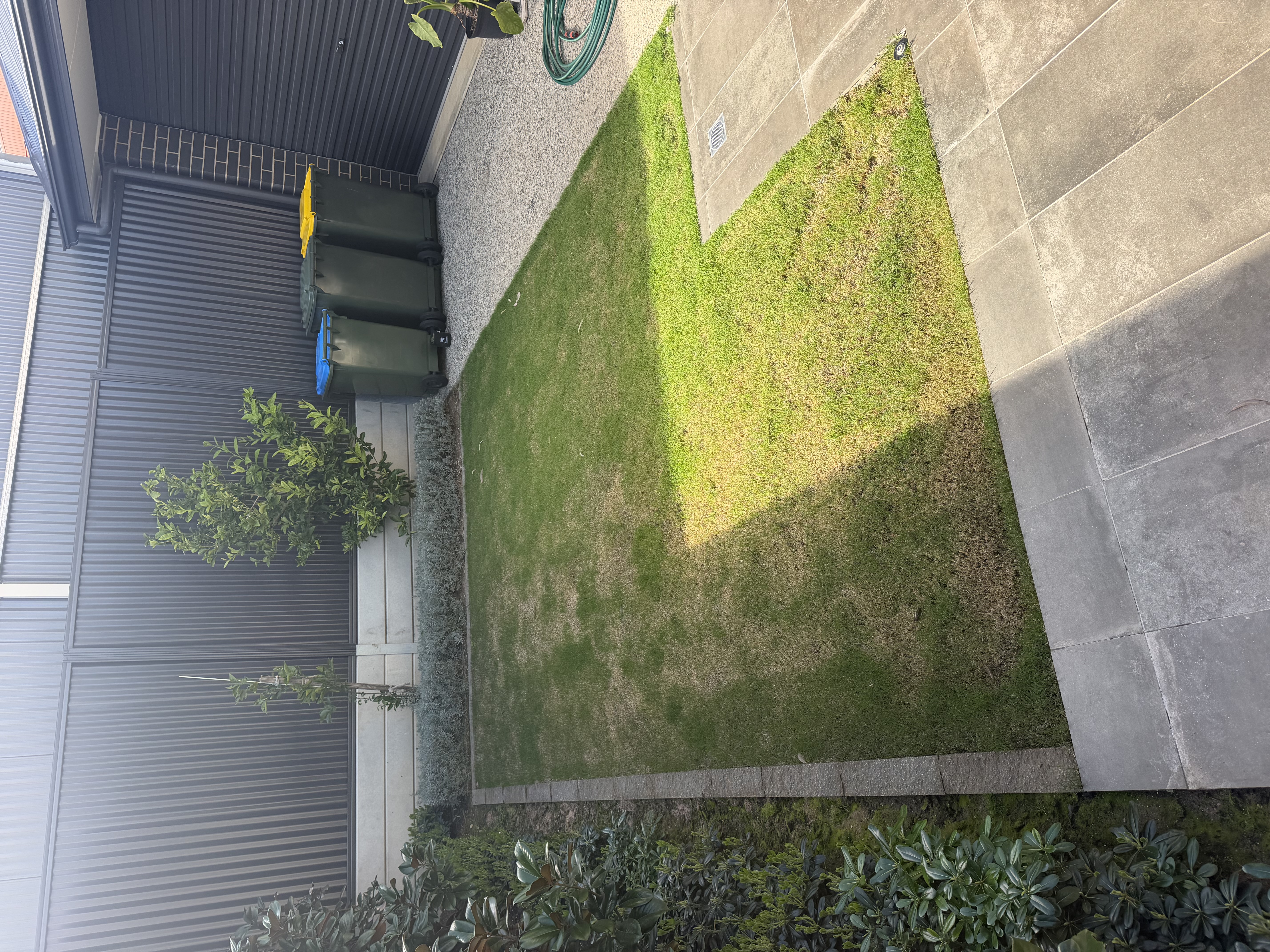 Tanners Turf recent work