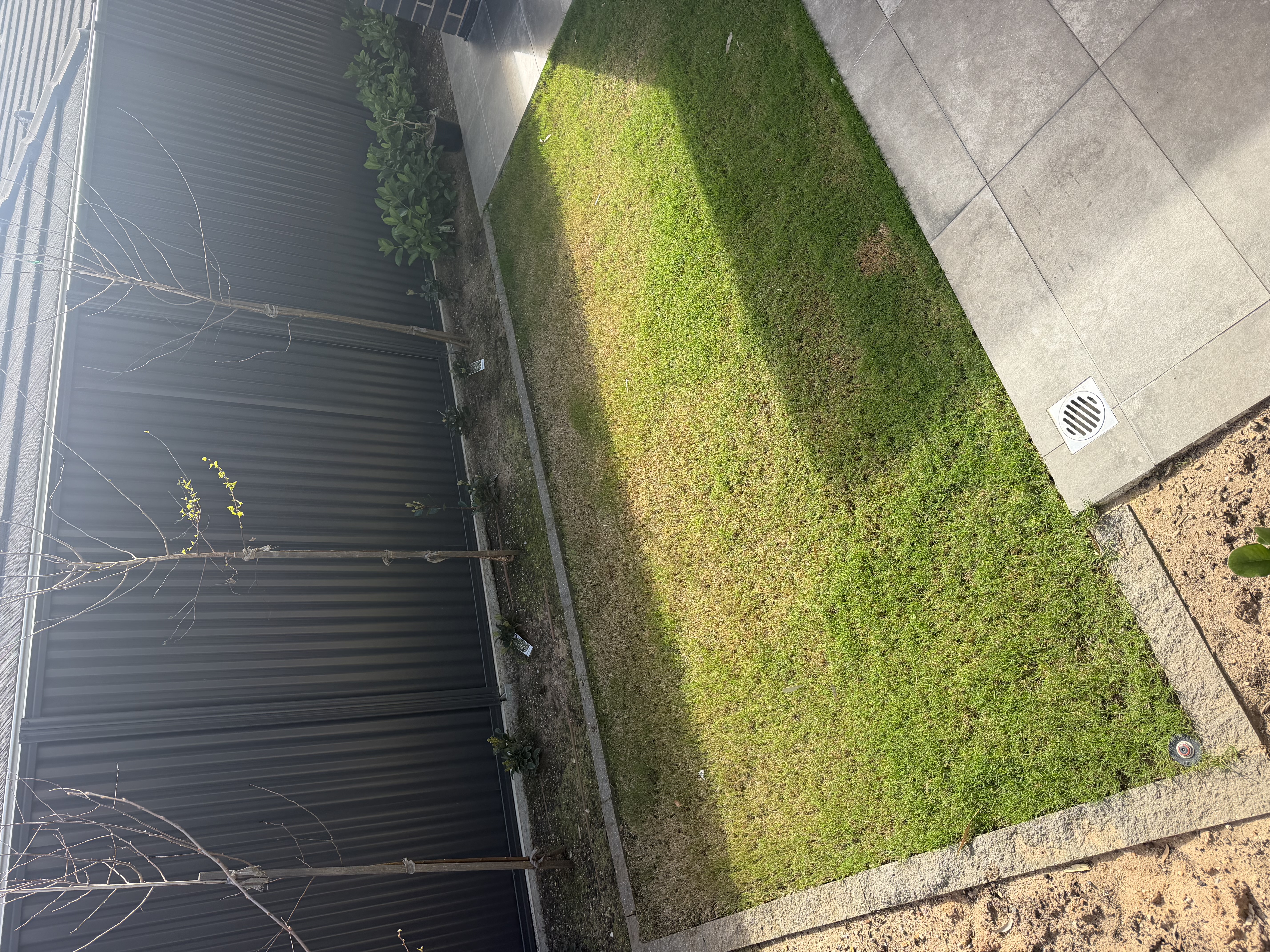 Tanners Turf recent work