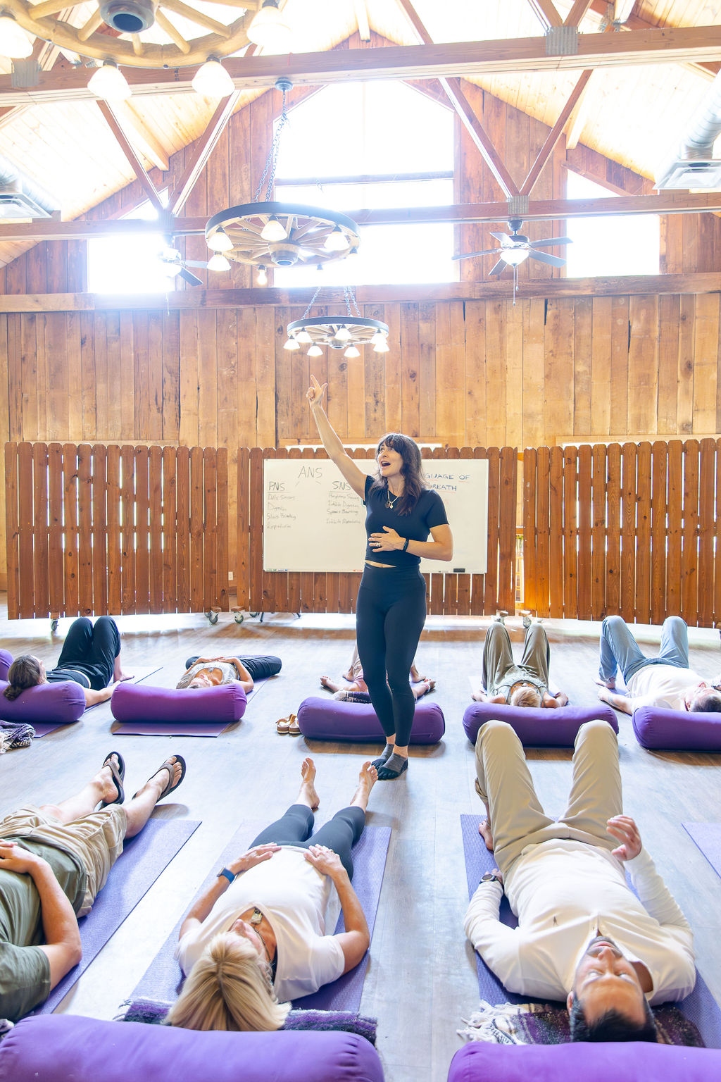 Instructor teaching nervous system physiology at a whiteboard during a Language of Breath workshop