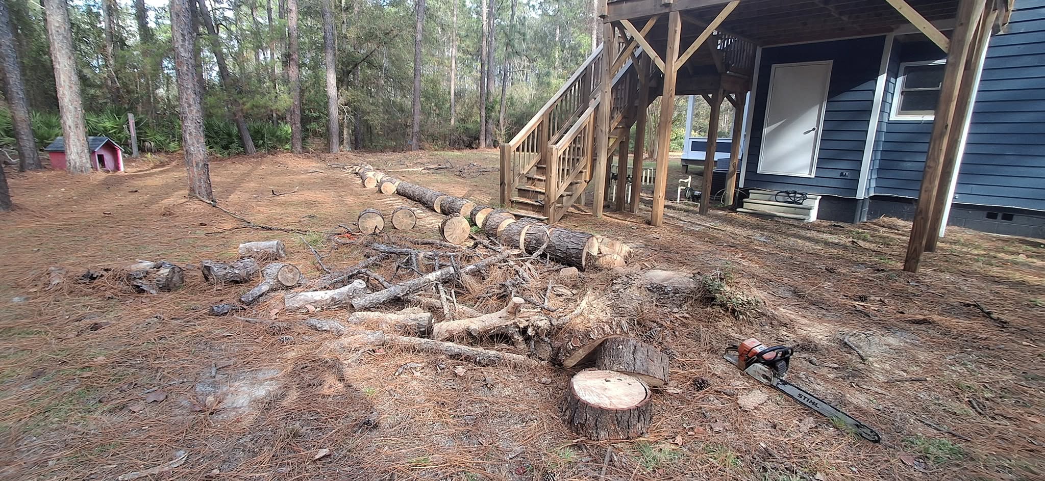 Tree Work