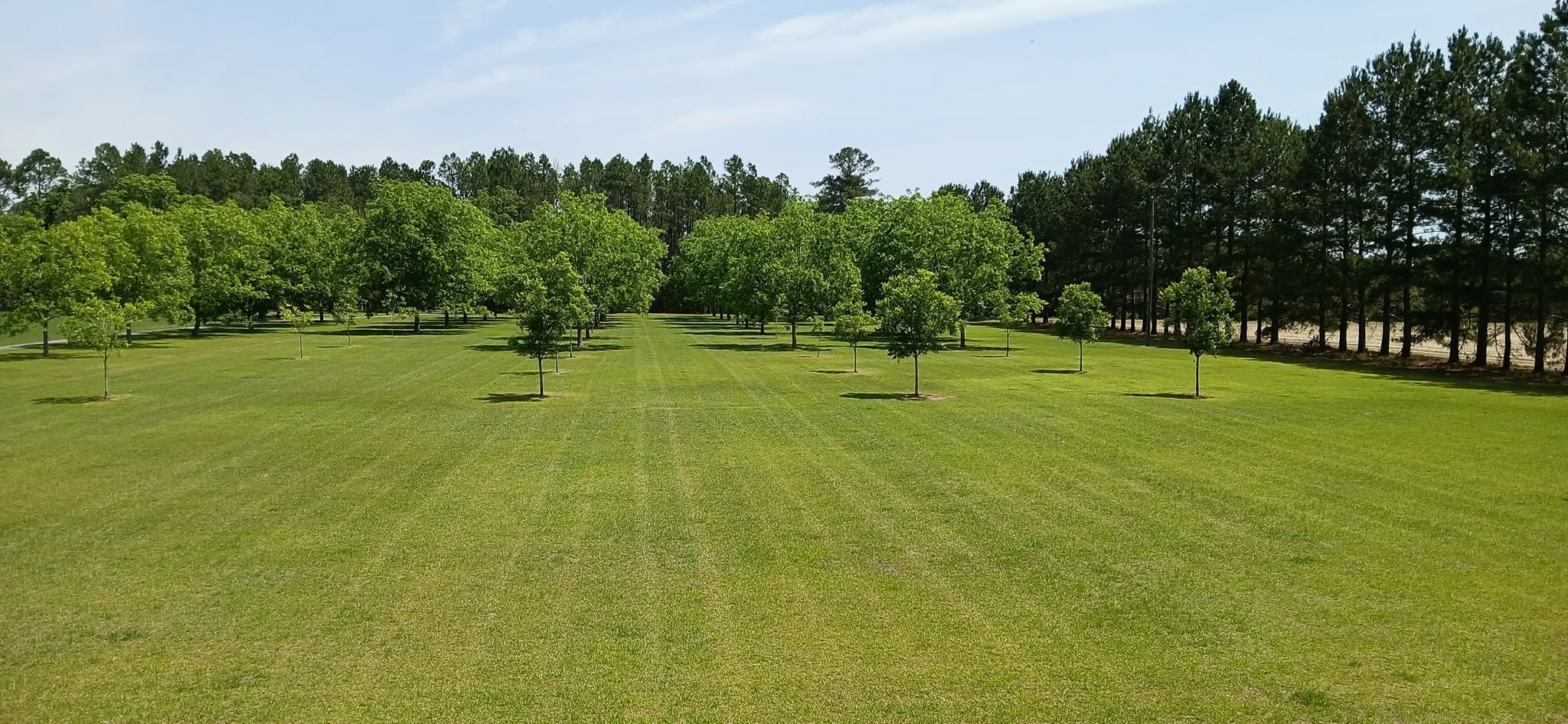 Lawn Care