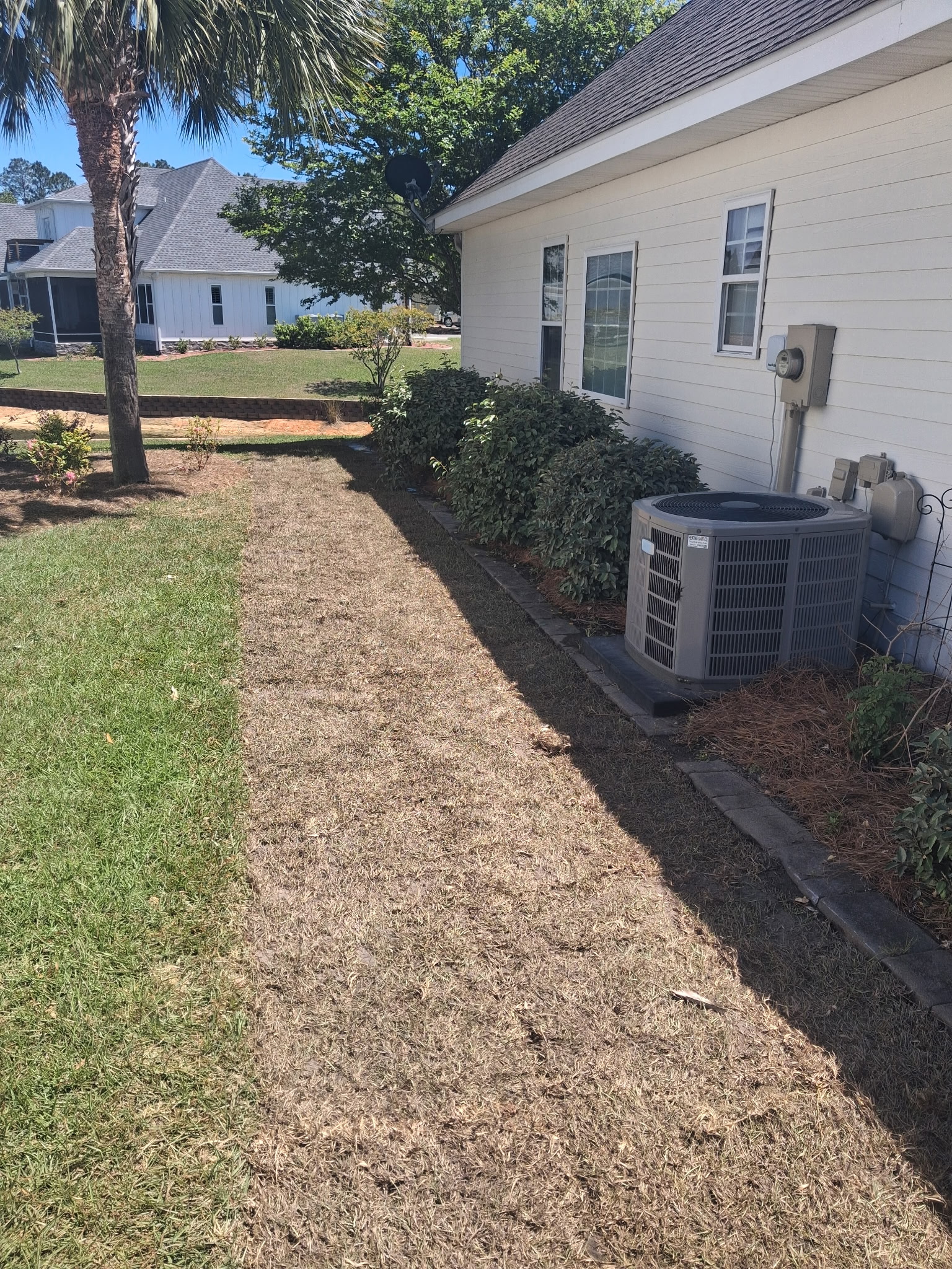 Sod Installation