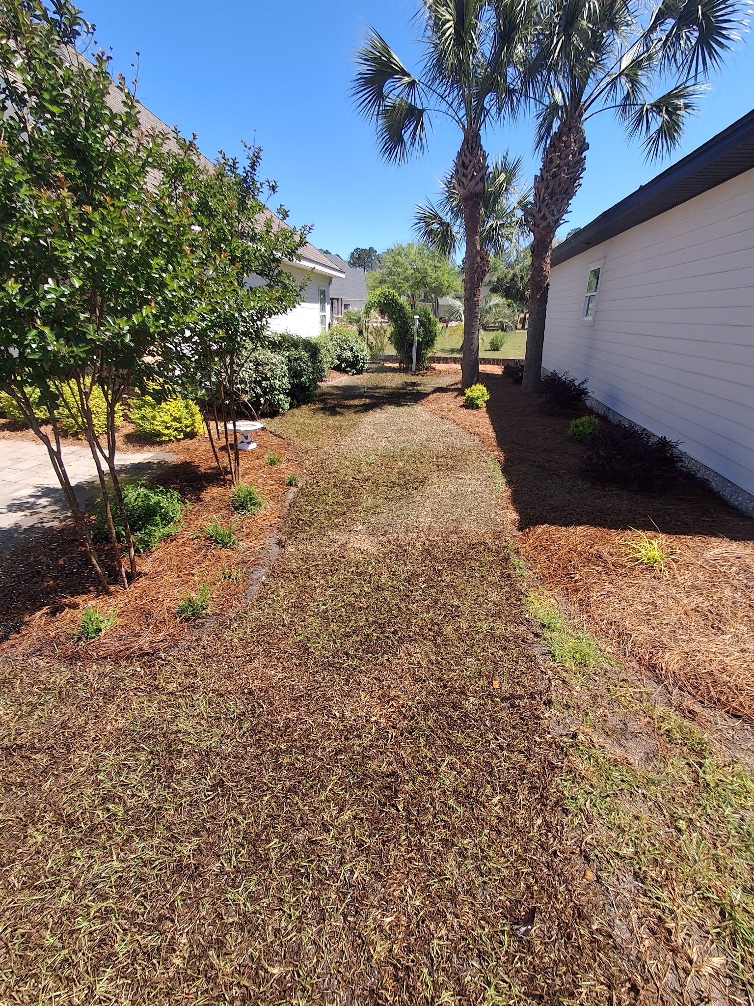 Sod Installation