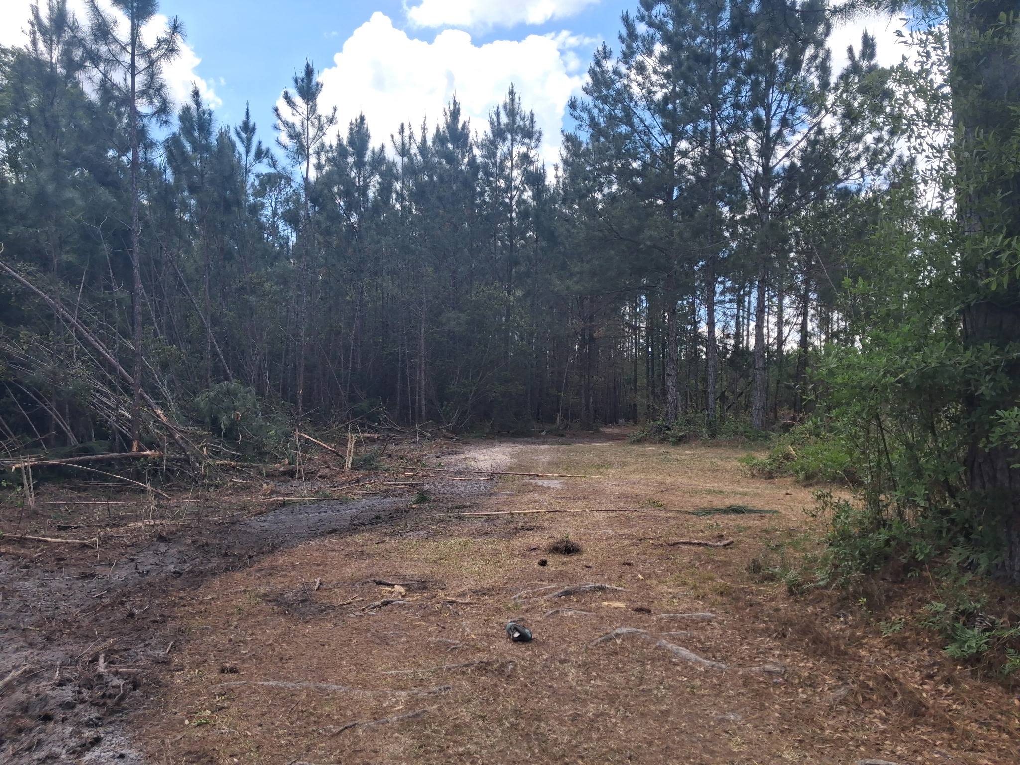 Land Clearing