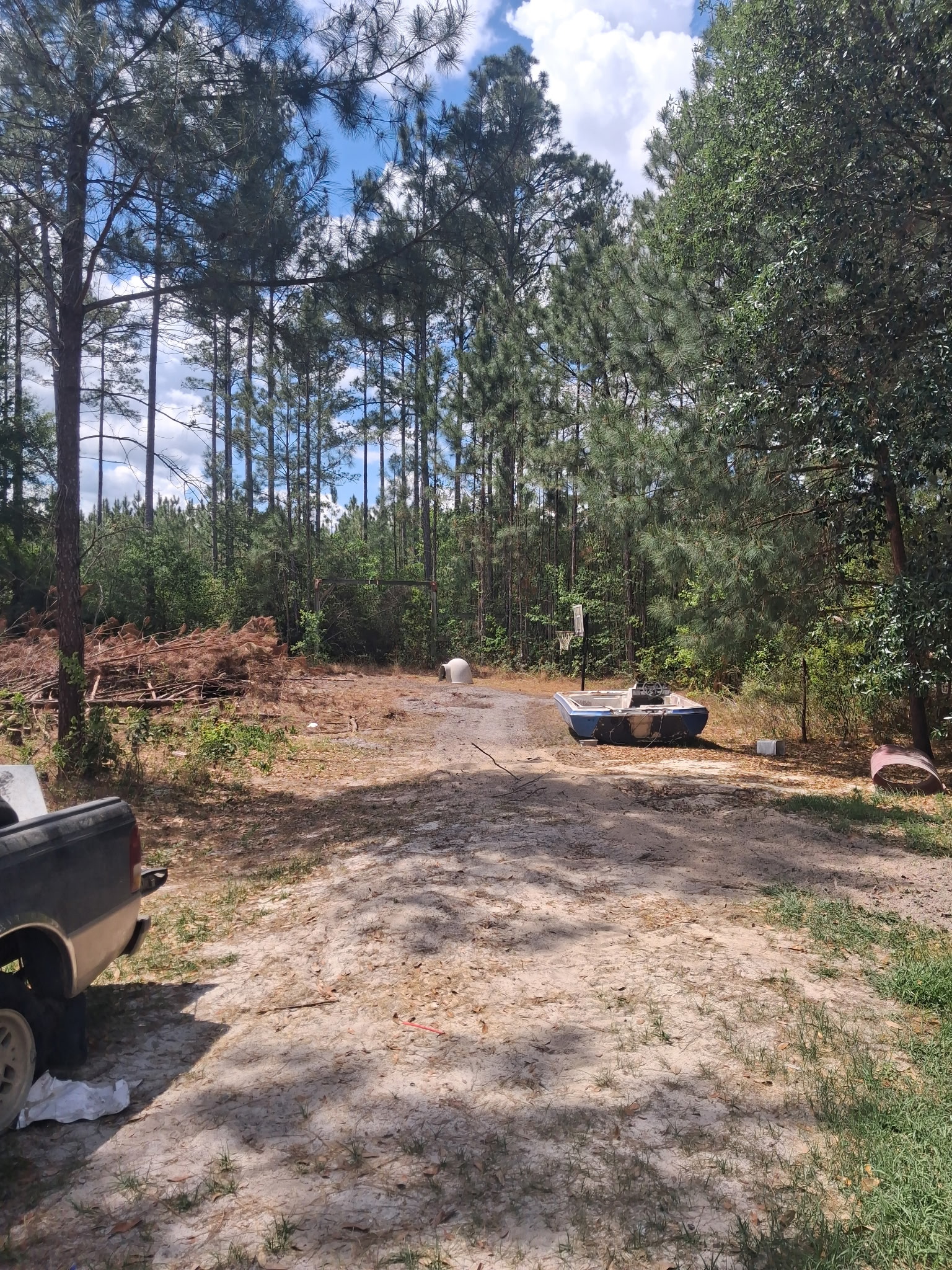 Land Clearing