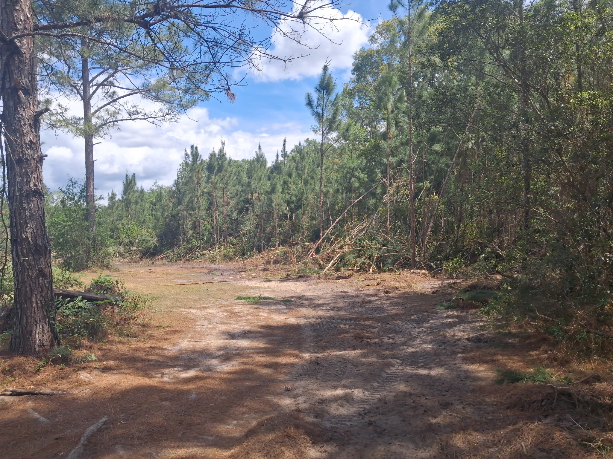 Land Clearing