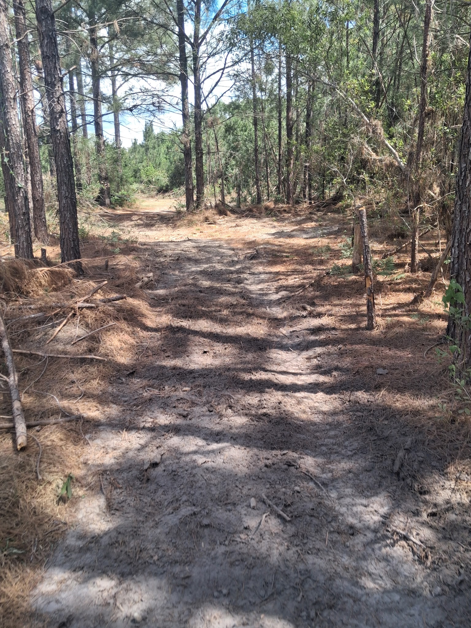 Land Clearing