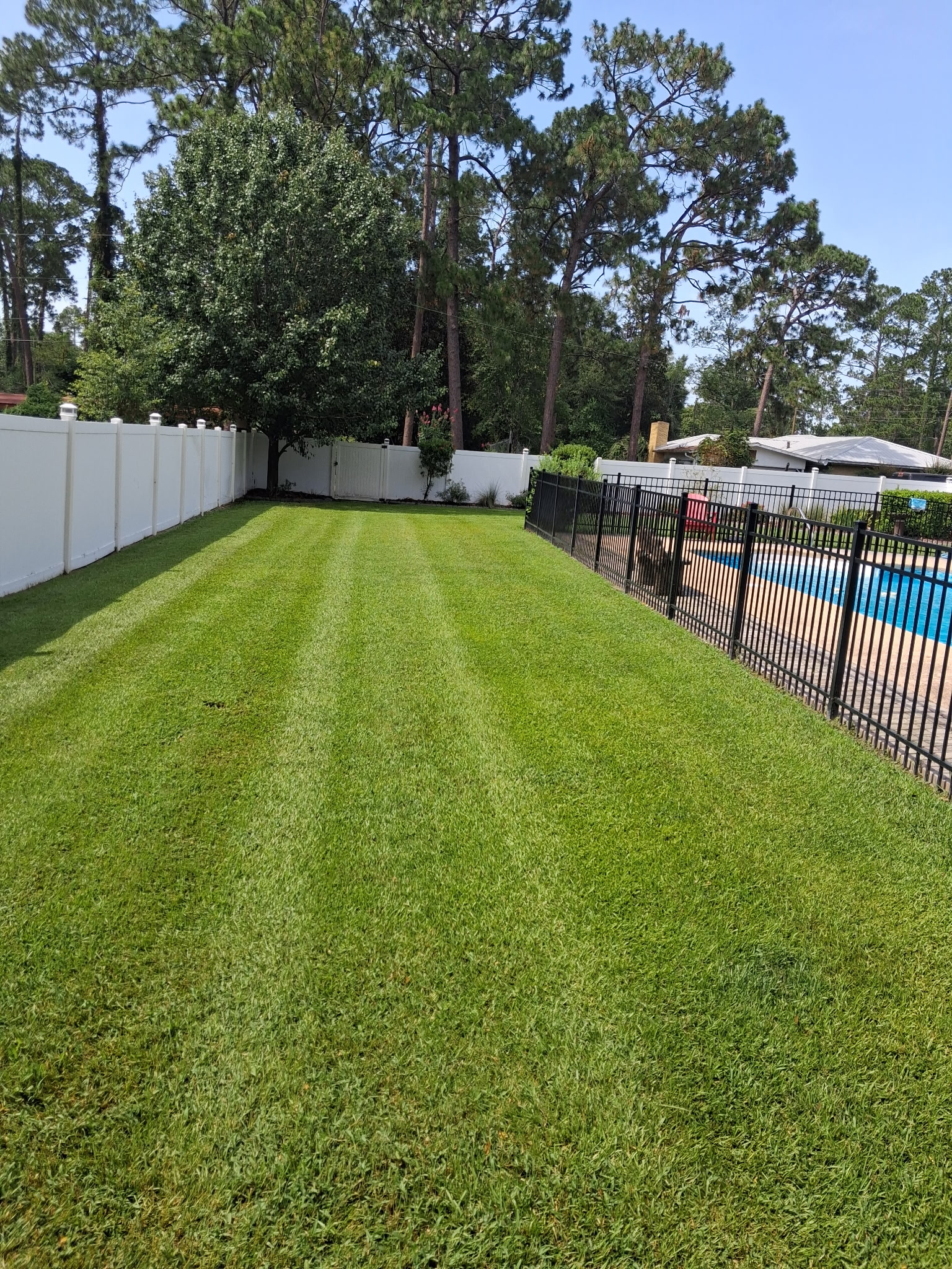 Lawn Care