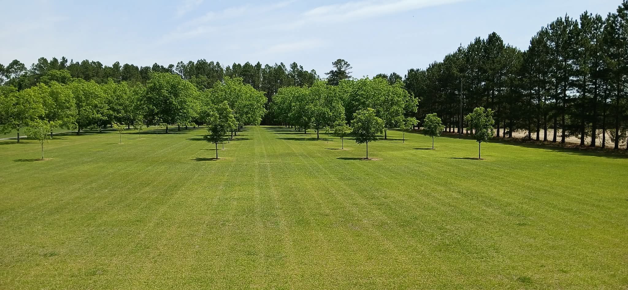 Lawn Care