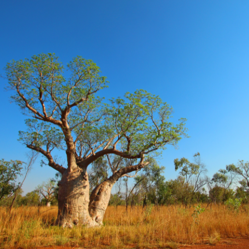 Shelley Colthurst working on a website design project.