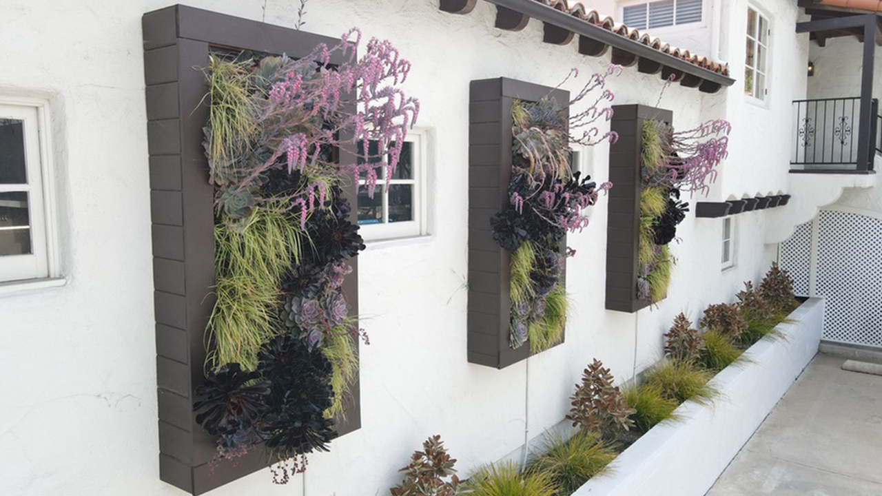 Three framed vertical gardens on a white Spanish-style exterior wall