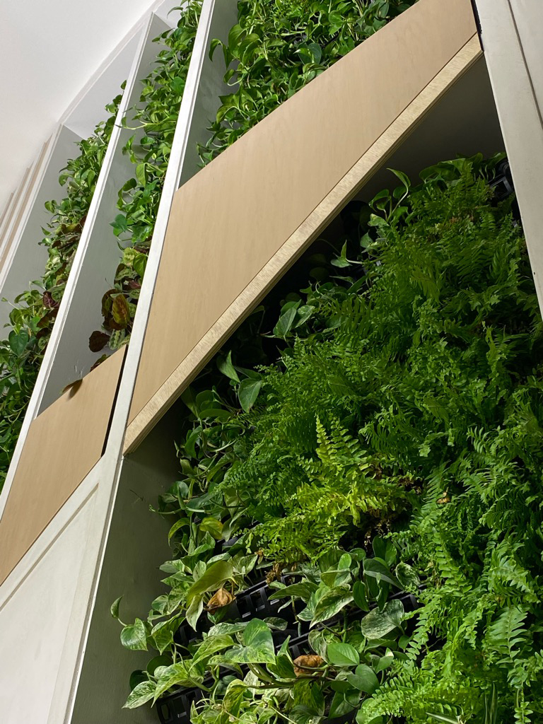 Close up plant detail from Westin Book Cadillac Detroit living wall