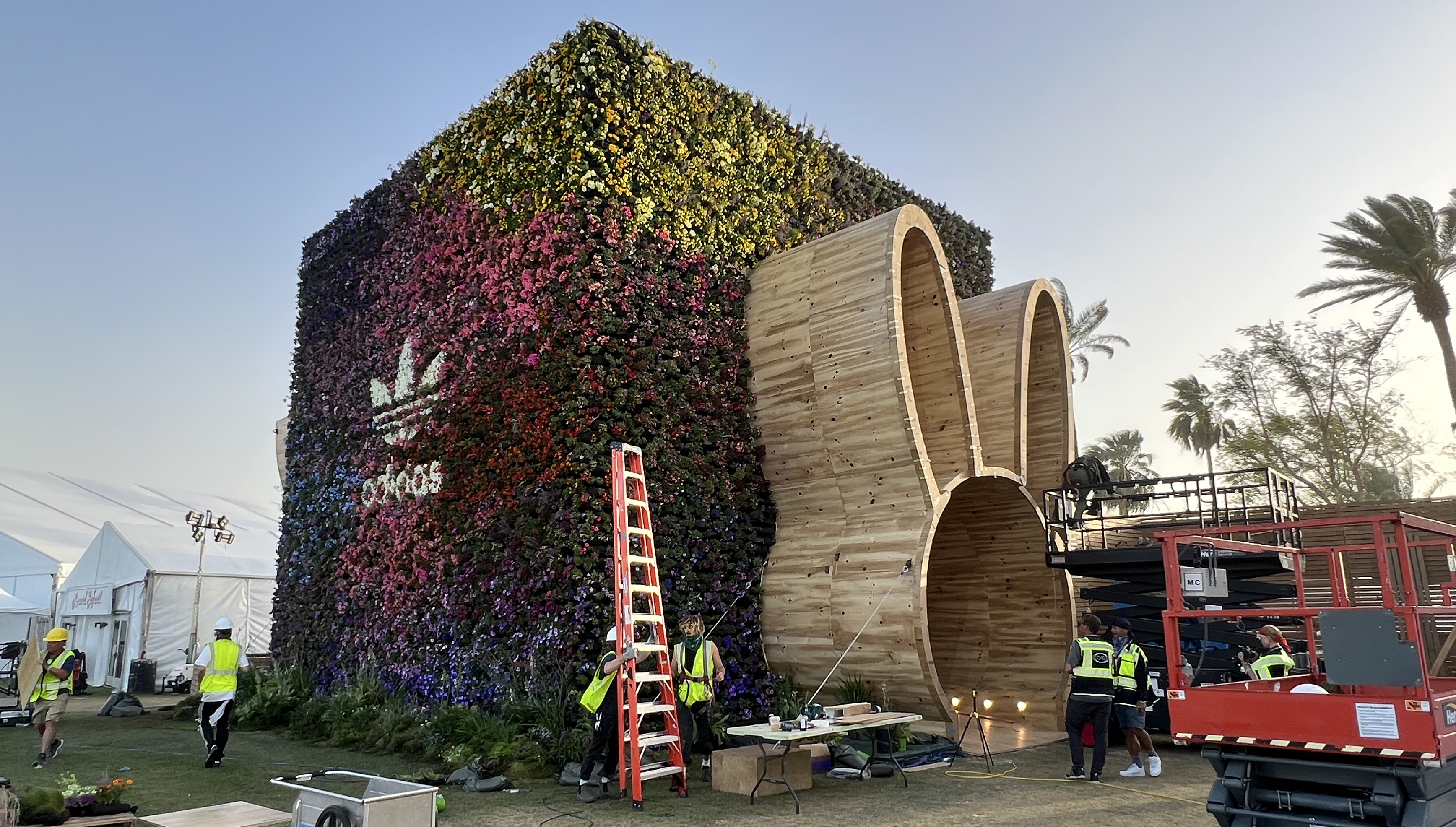Completed Adidas x Bad Bunny botanical activation at Coachella