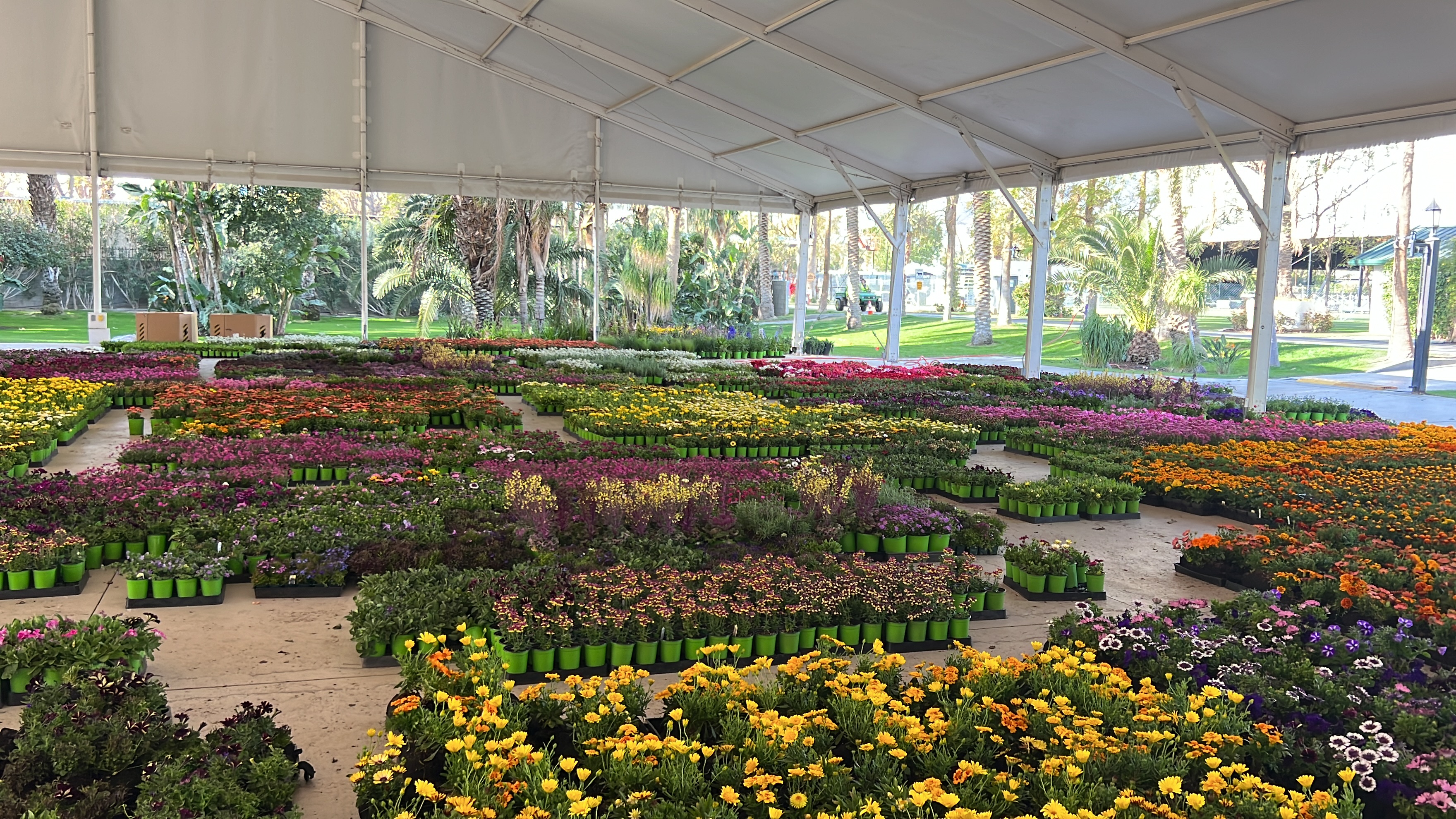 Installing thousands of plants into experiential living wall