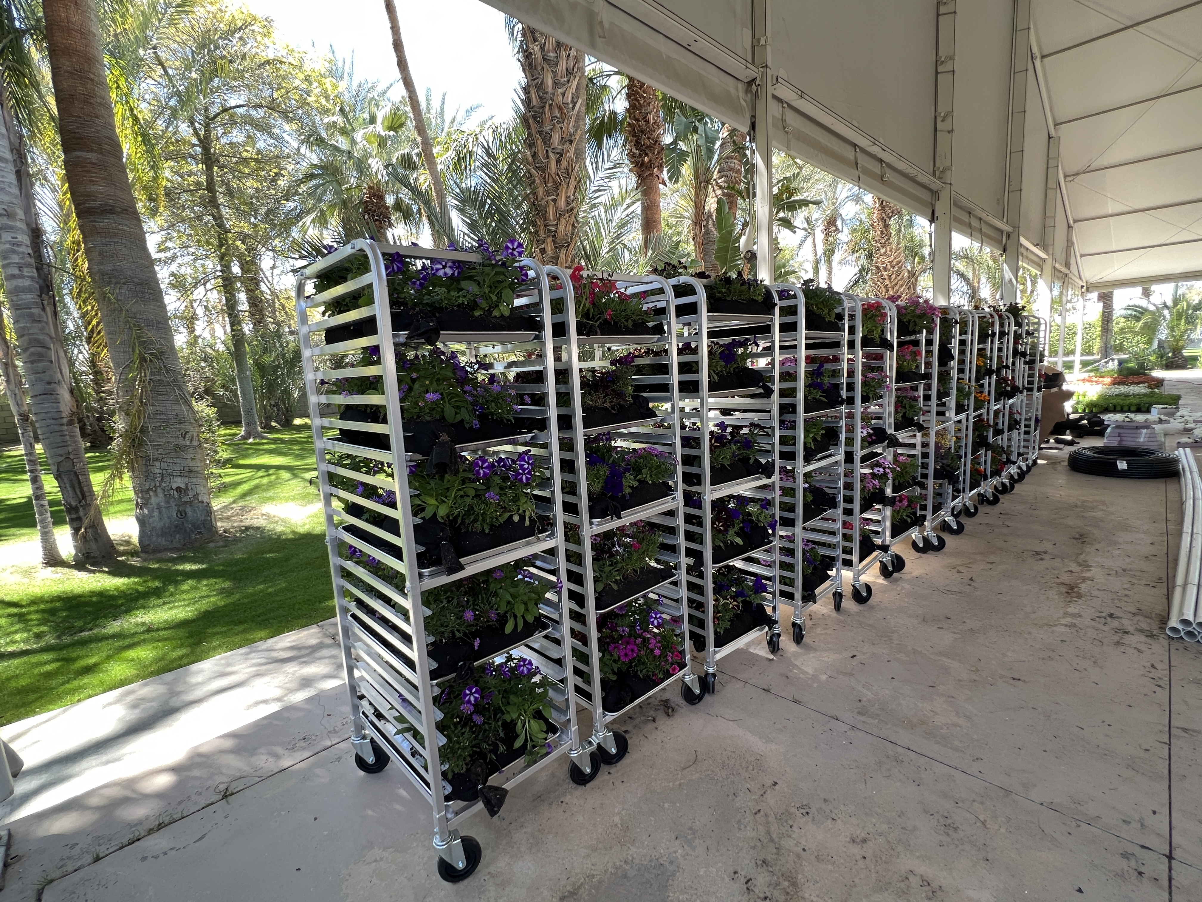 Planting the Coachella living wall activation