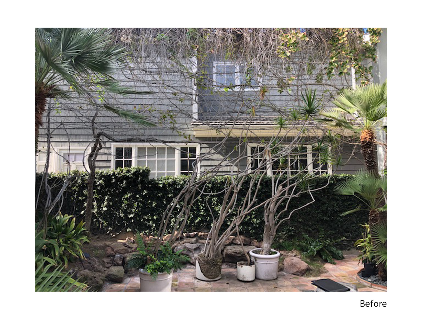 Existing Harbor Island Newport Beach courtyard before living wall transformation