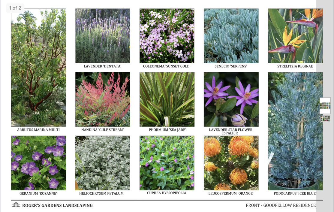 Landscape plant palette for Harbor Island Newport Beach living wall