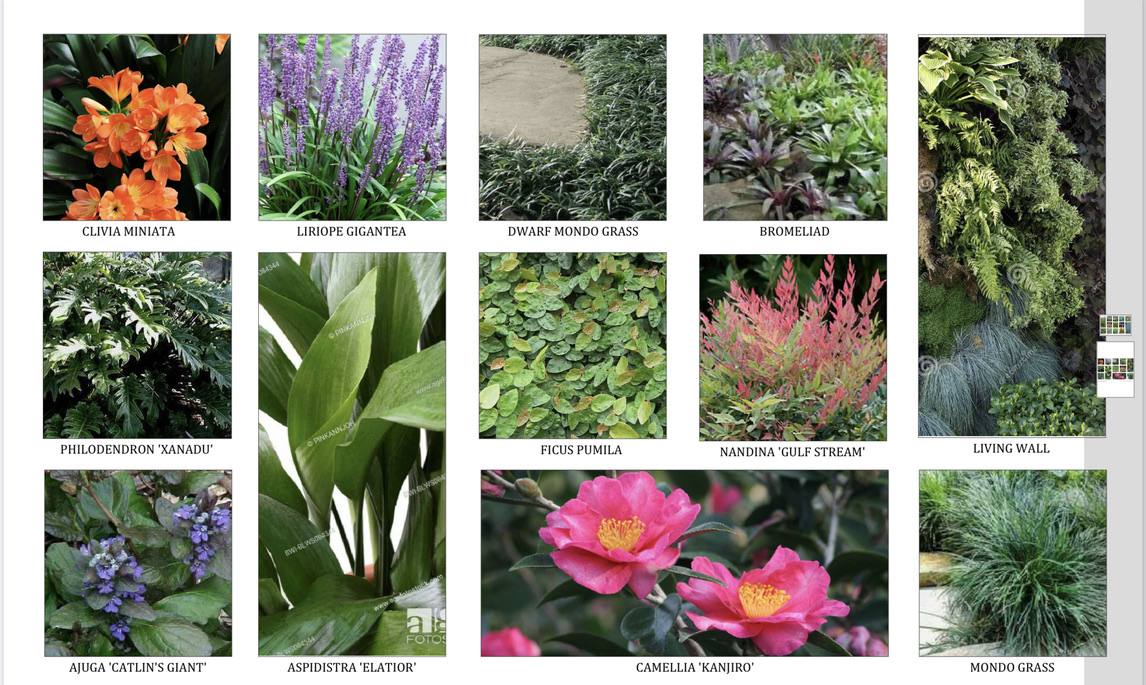 Coastal California planting palette for Harbor Island courtyard