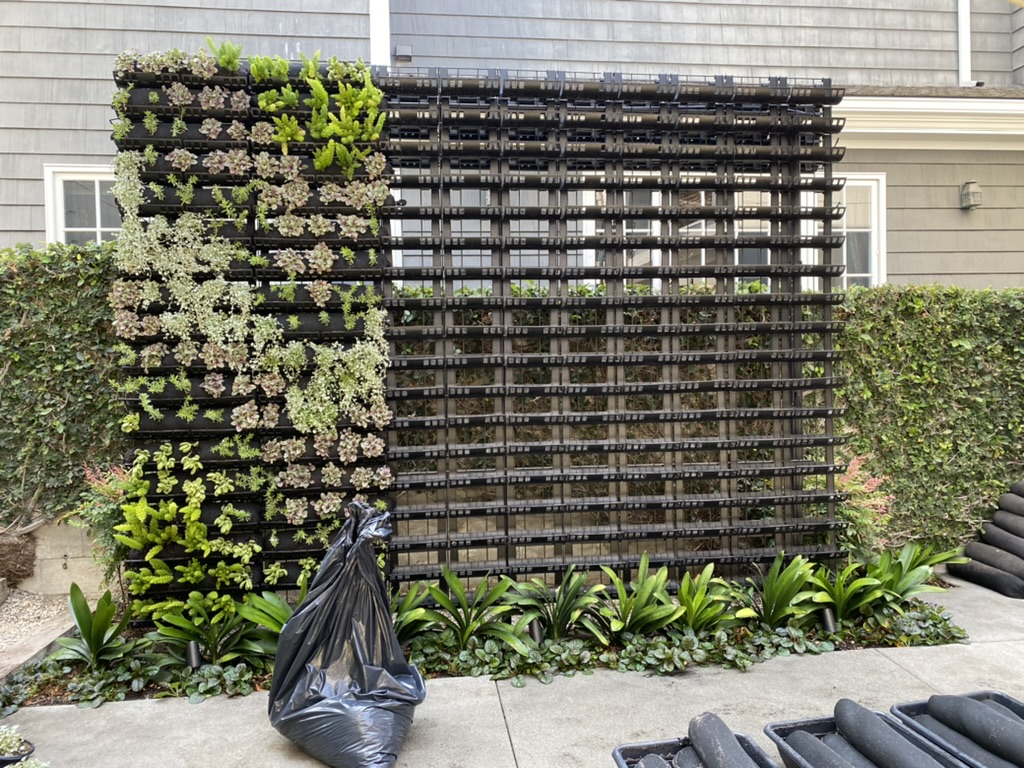Plant installation for Harbor Island Newport Beach living wall