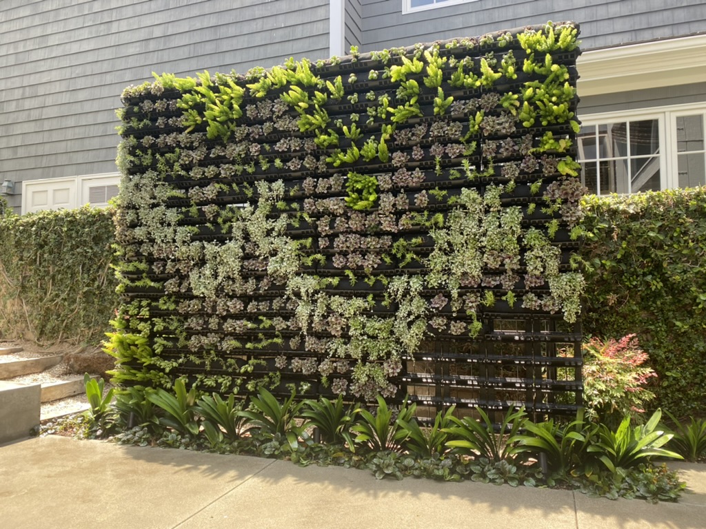 Completed Harbor Island Newport Beach living wall privacy structure