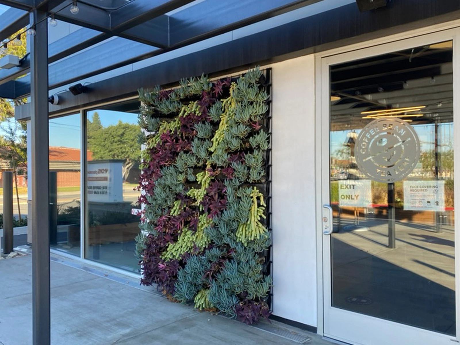 Storefront living wall with succulents at a commercial retail entrance
