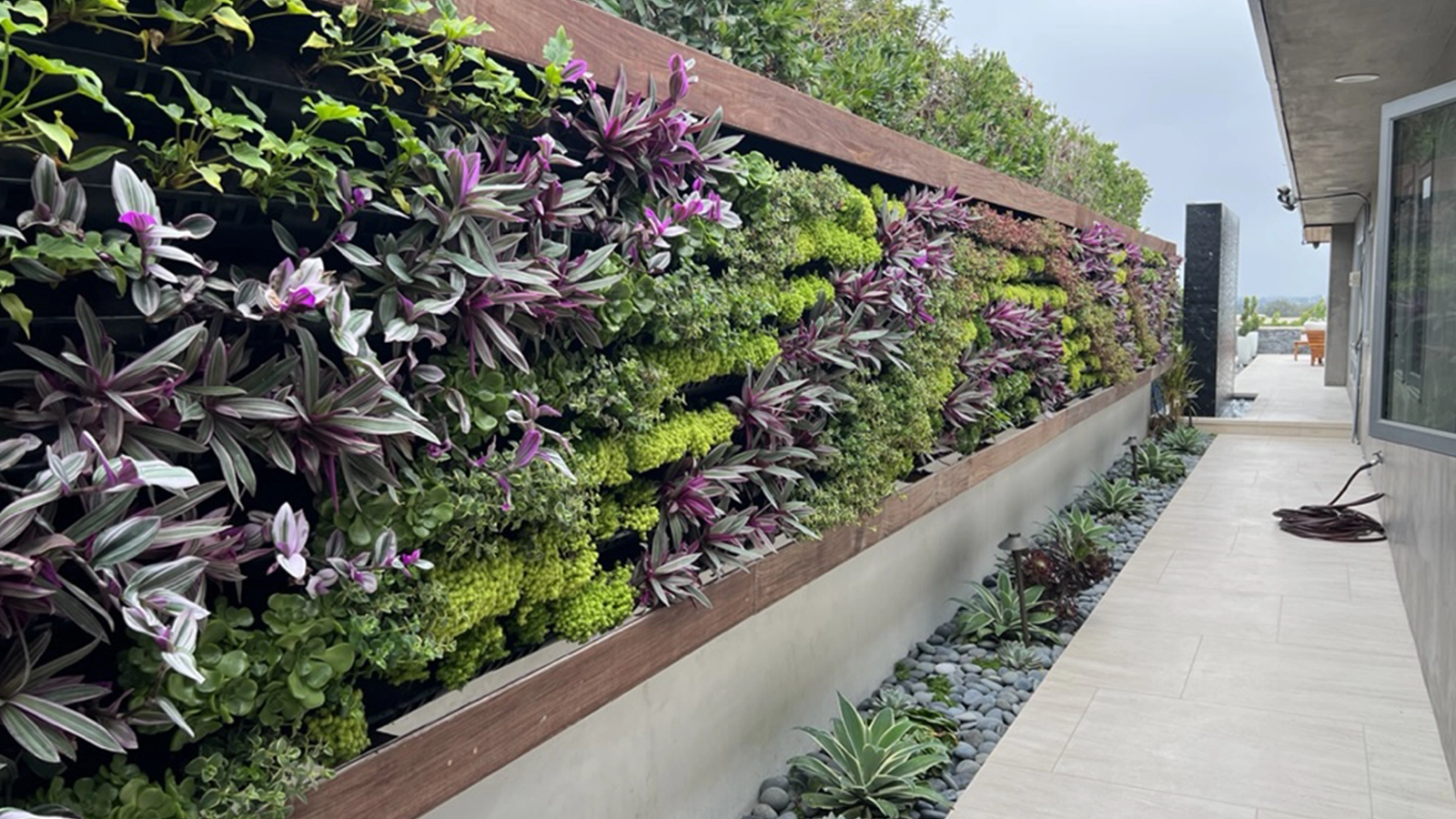 Specialty living wall work compared with ordinary landscape