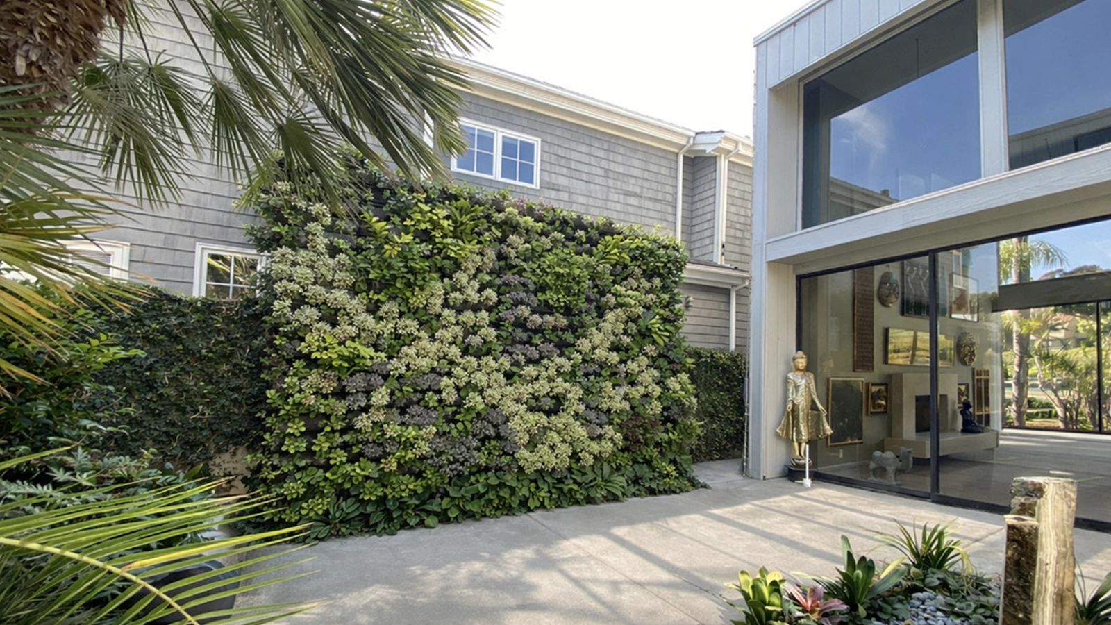 Residential courtyard living wall