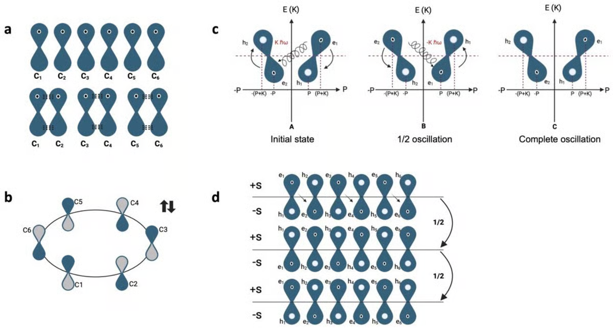 DNA Quantum Visualization