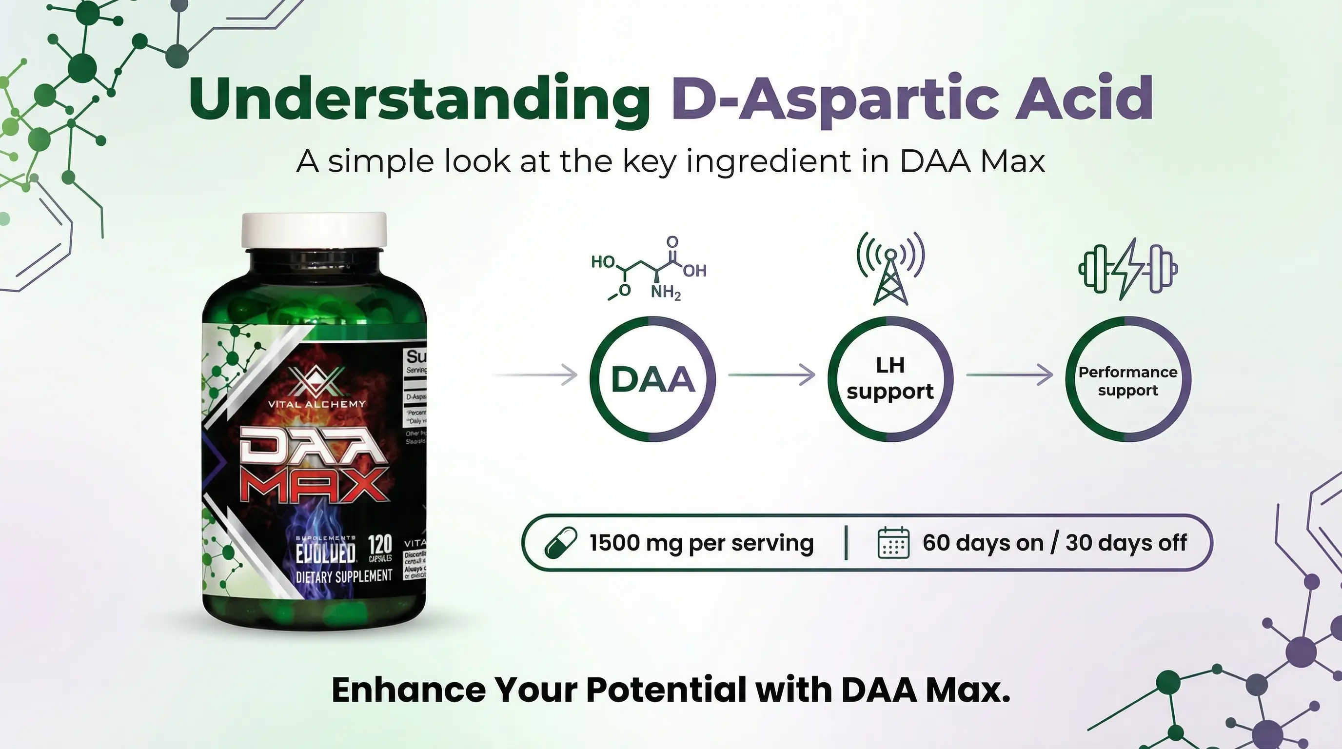 Infographic explaining D-Aspartic Acid with DAA Max bottle, simple DAA-to-support diagram, dosing and cycling strip, and https://en-daamax.com/