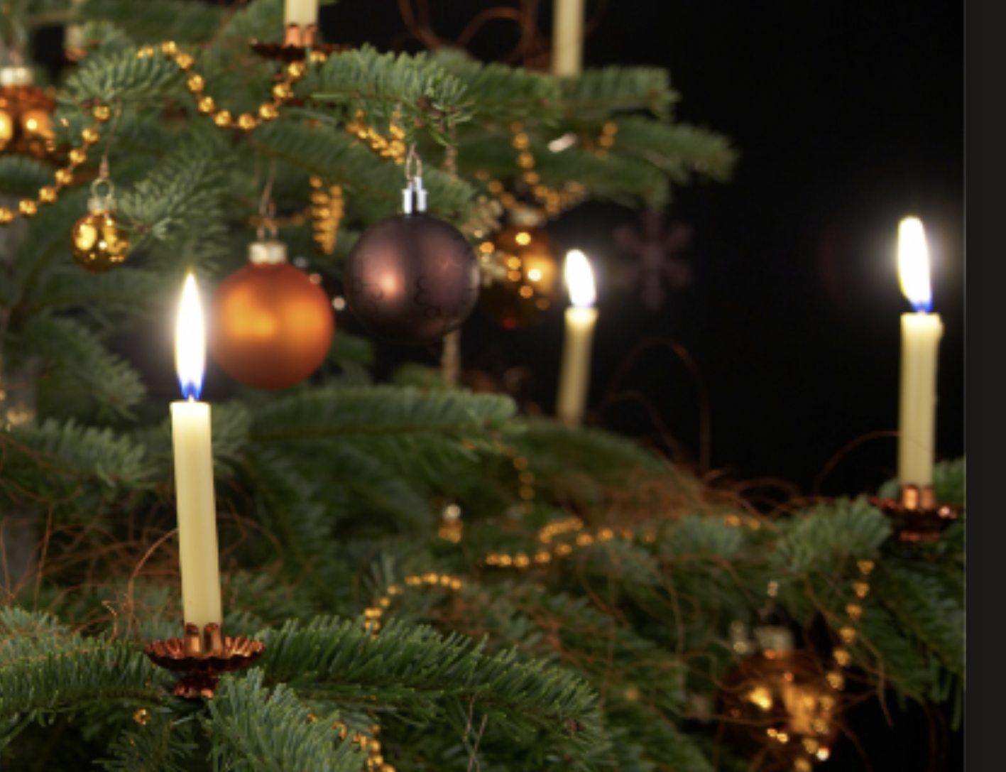 Birmingham Michigan Christmas Lights