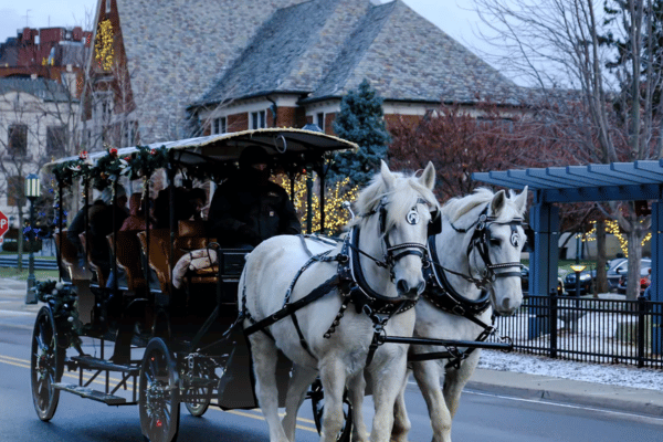 Birmingham Michigan Christmas lights