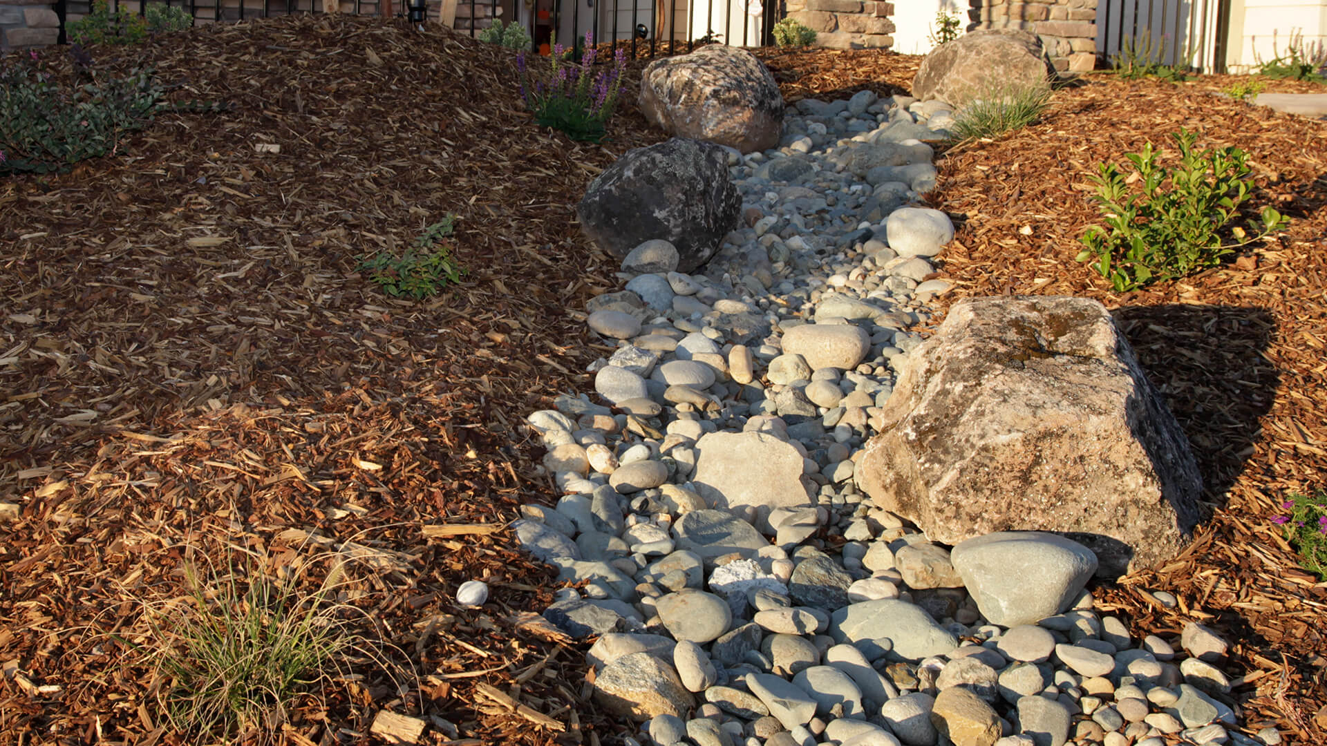 Drought tolerant planting portfolio
