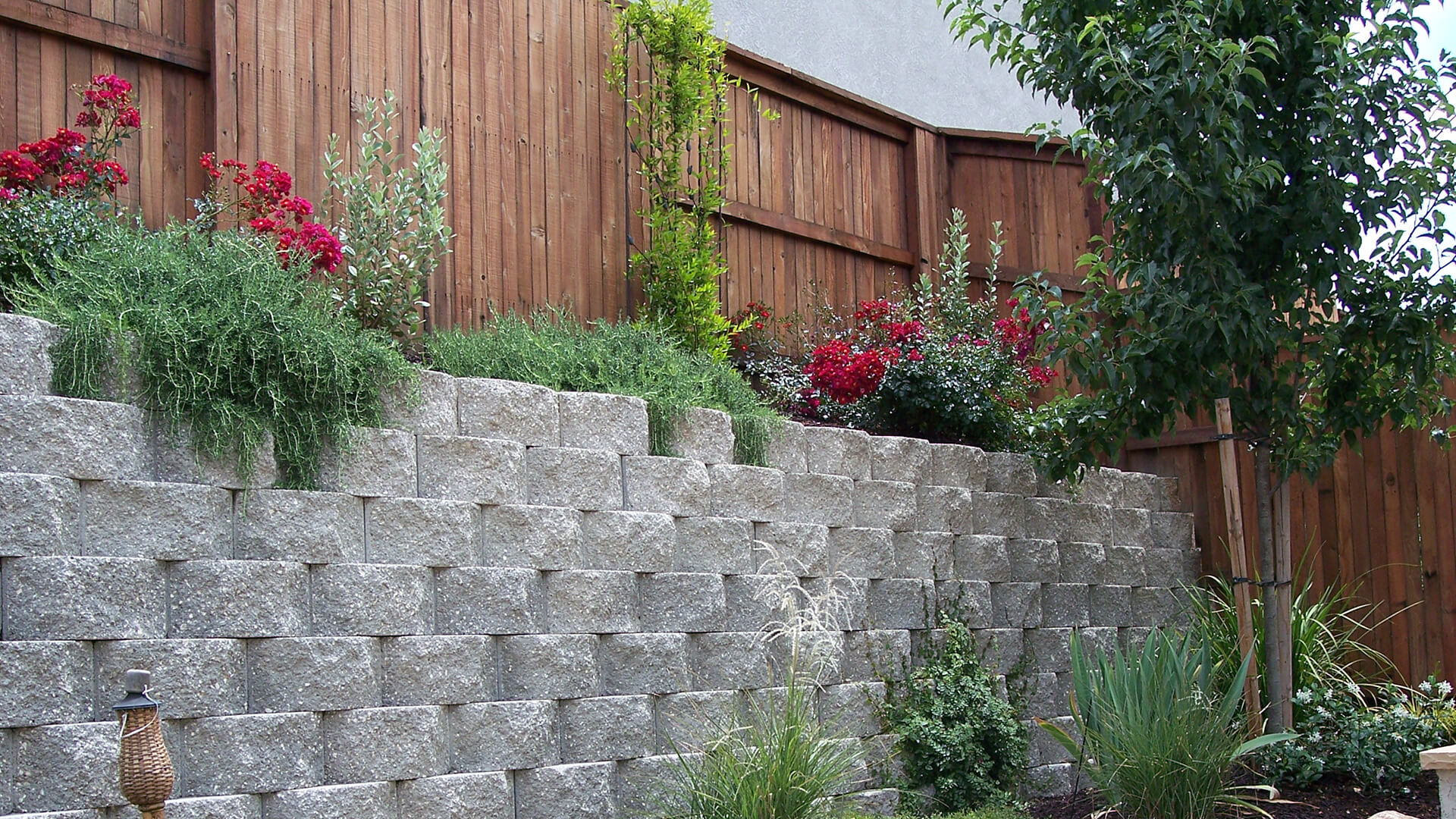 Premium xeriscape landscape portfolio