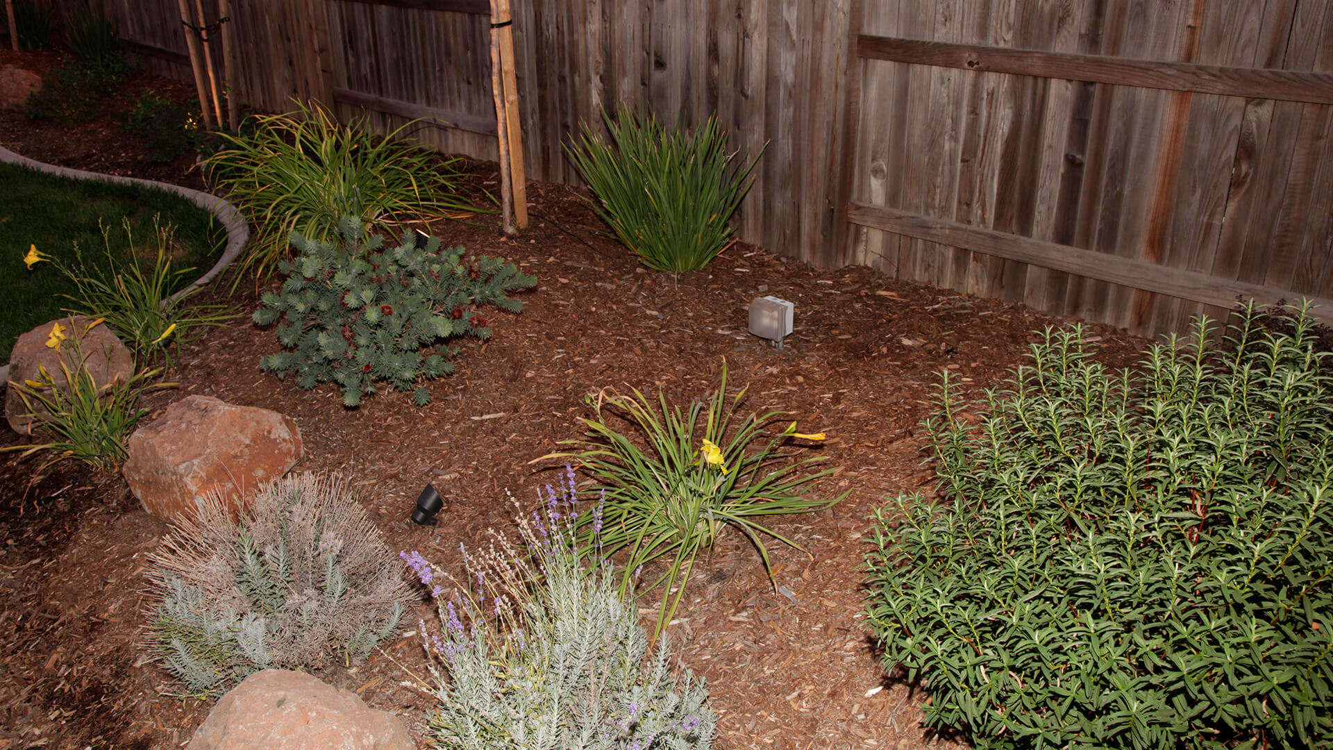 Synthetic Turf Installation