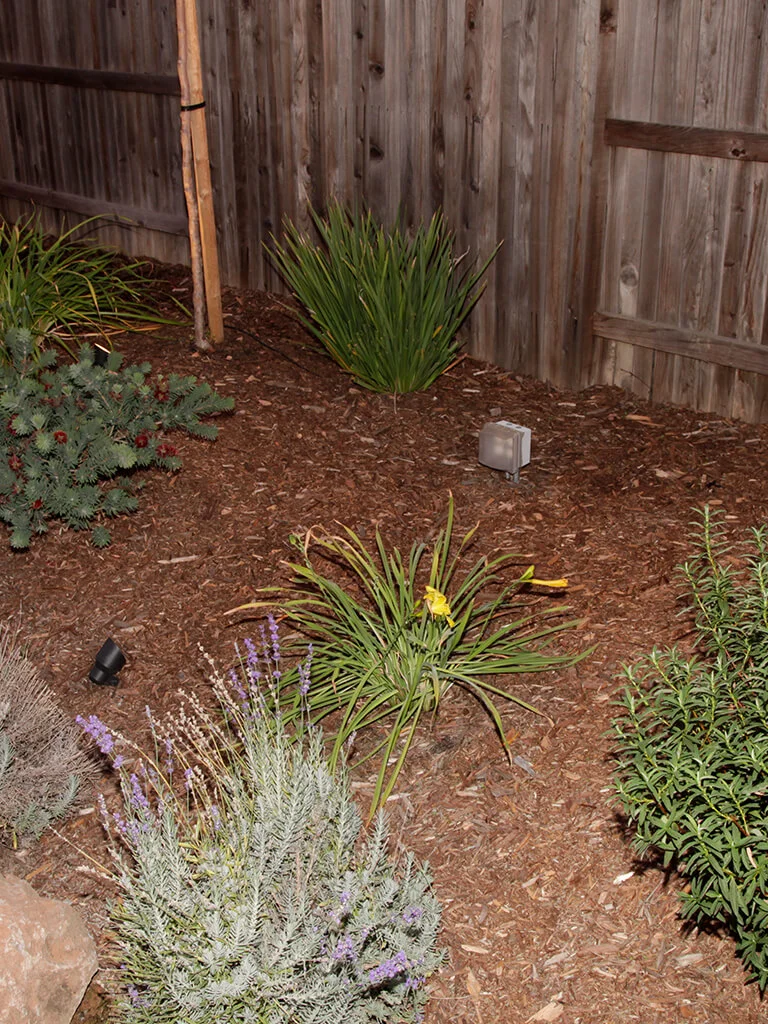 Loomis planting bed, mulch, pathway lighting, and backyard landscape detail by Lavish Gardens Landscape