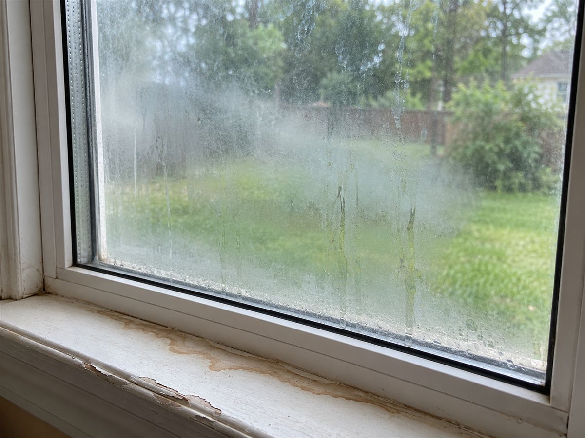 Fog trapped between two panes of glass, with a water-stained sill