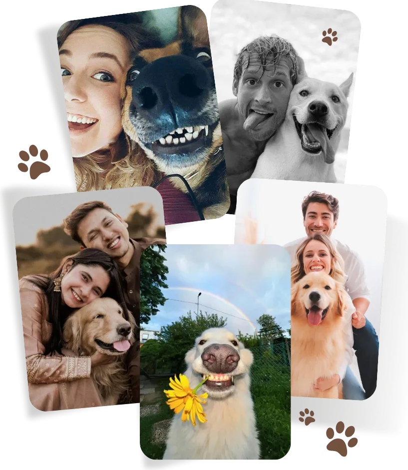 Happy dogs with the people who love them