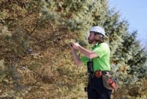 {{ custom_values.service_4 }} in {{custom_values.area_2})