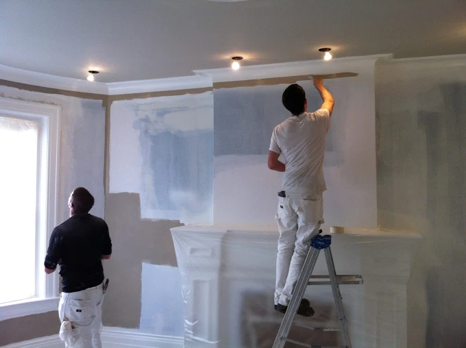 Noel Painting Services project image 1