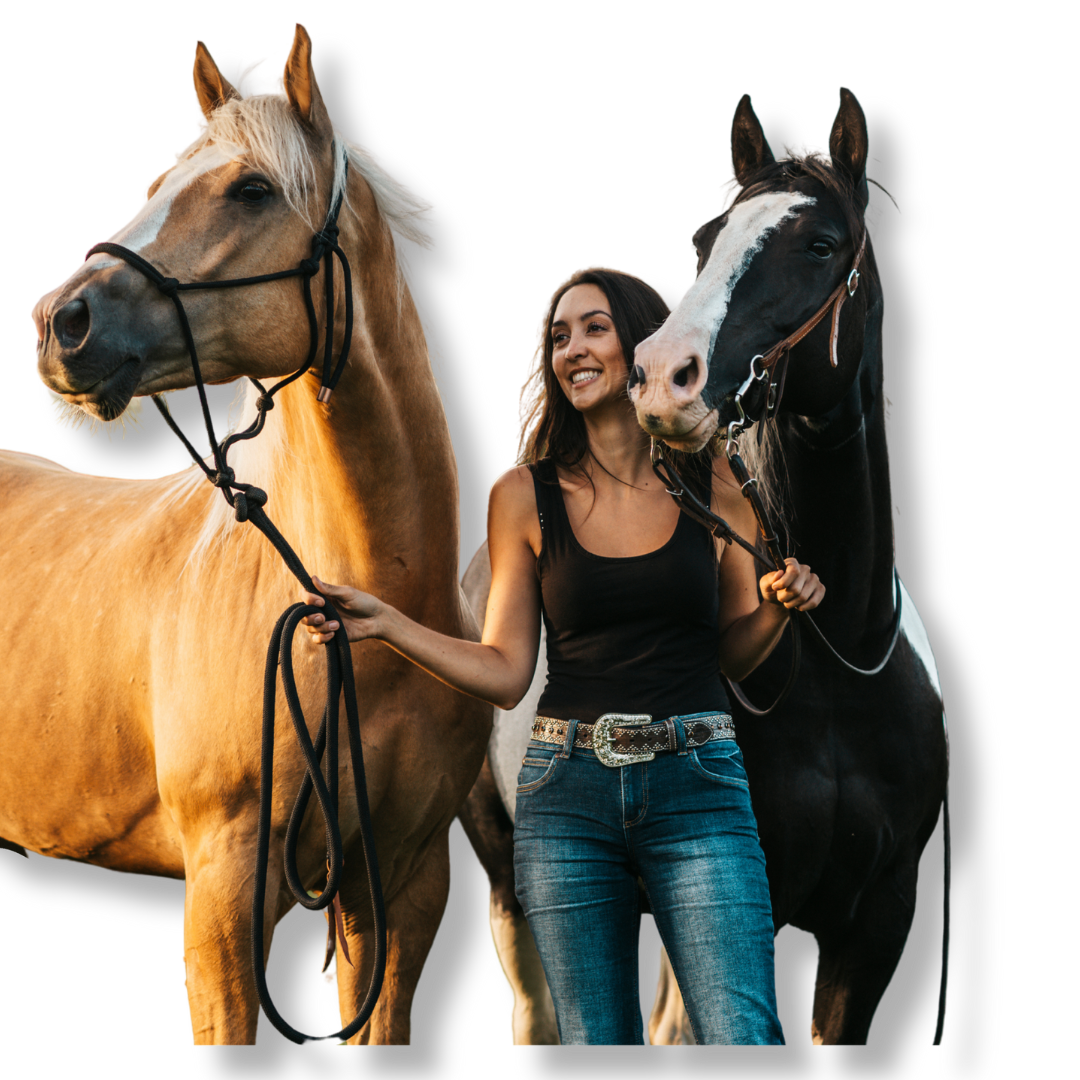 Rose-alie avec ses chevaux