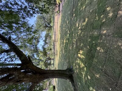 {{ custom_values.service_2 }} in {{custom_values.area_2})