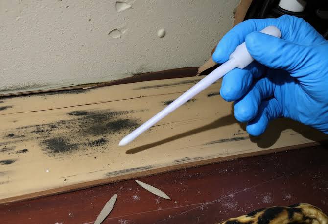 Mold inspection and testing Ohio