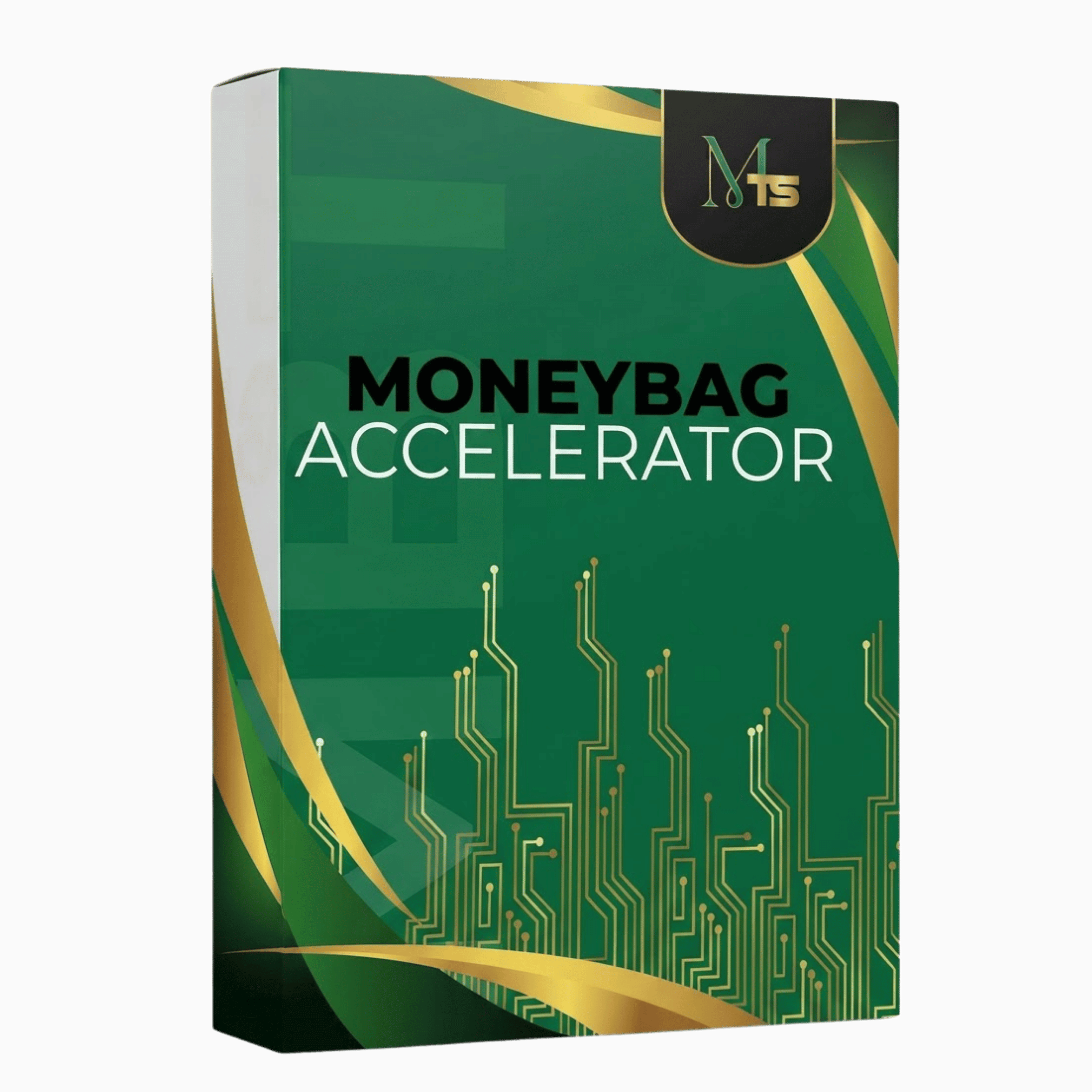 Moneybag Accelerator