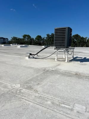 {{ custom_values.service_3 }} in {{custom_values.area_2})