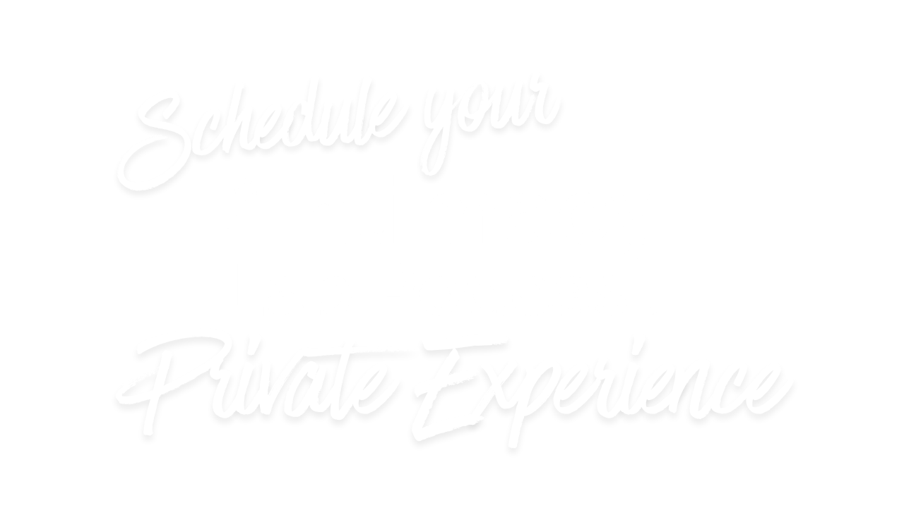 Schedule your Intimacy Lab Podcast Private Experience