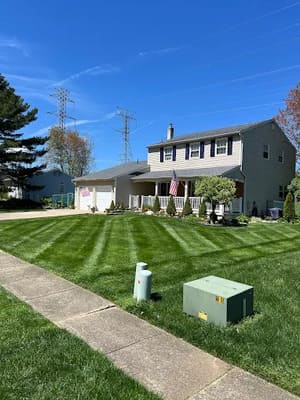 {{ custom_values.service_3 }} in {{custom_values.area_2})