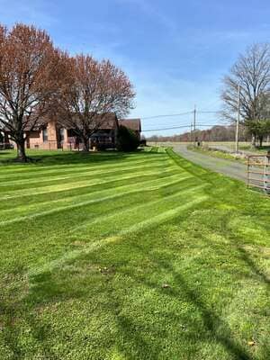 {{ custom_values.service_3 }} in {{custom_values.area_3})