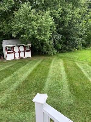 {{ custom_values.service_2 }} in {{custom_values.area_2})